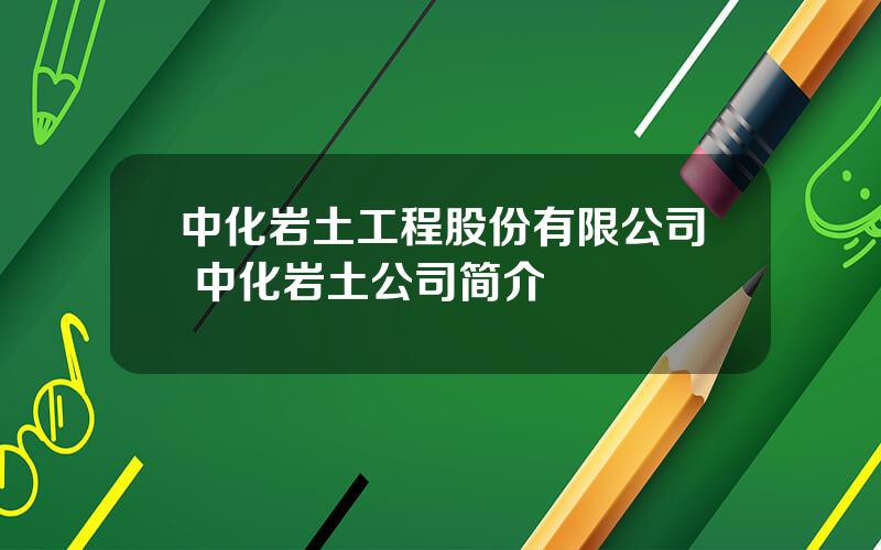 中化岩土工程股份有限公司 中化岩土公司简介
